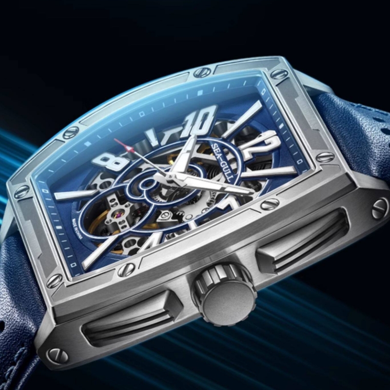 Seagull Men's Watches 42mm Aut - Luxury Watch Protection Film review and price